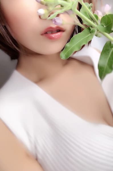 Sweet Empress (スウィートエンプレス)    紫波