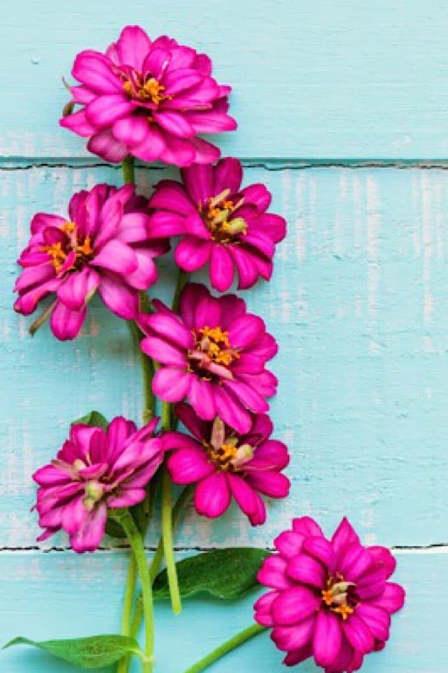 AXIA (アクシア) 名古屋    綾瀬