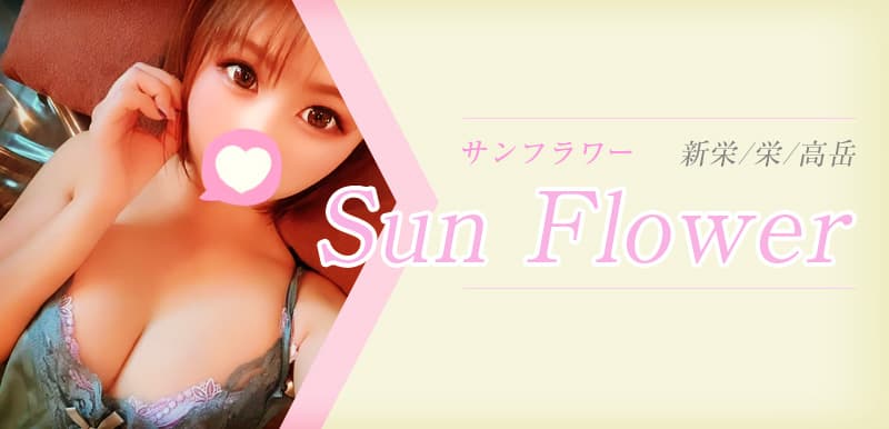 Sun Flower (サンフラワー) 愛知
