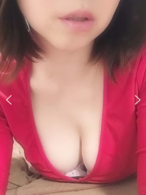 紫苑
