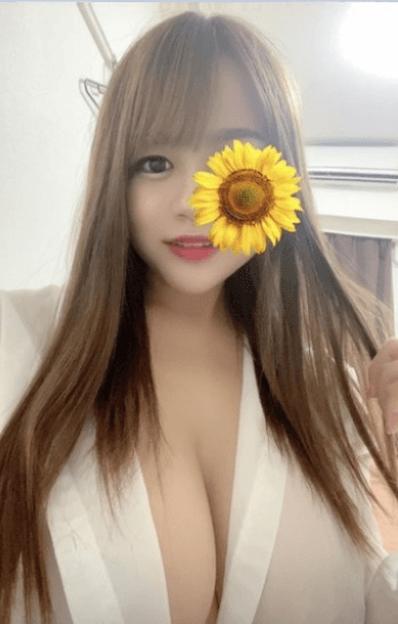 ひまわり