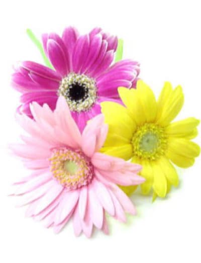 AXIA (アクシア) 名古屋    市川