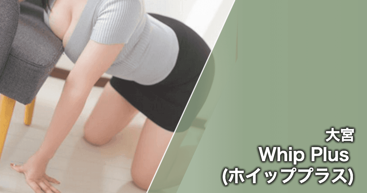 Whip Plus (ホイッププラス)