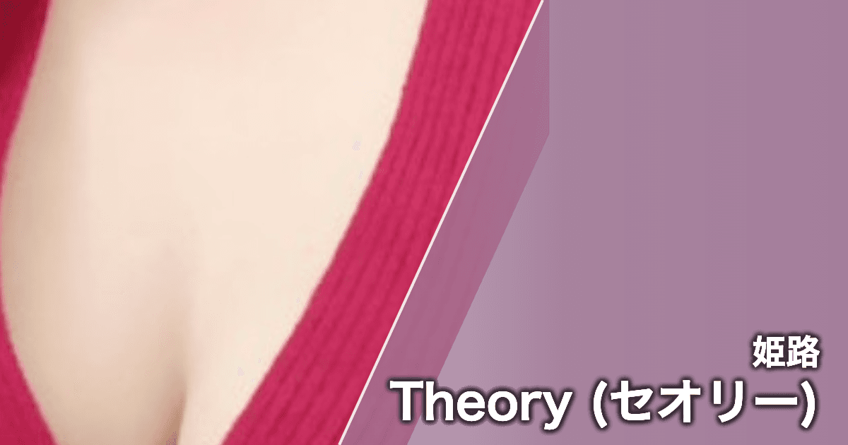 Theory (セオリー)
