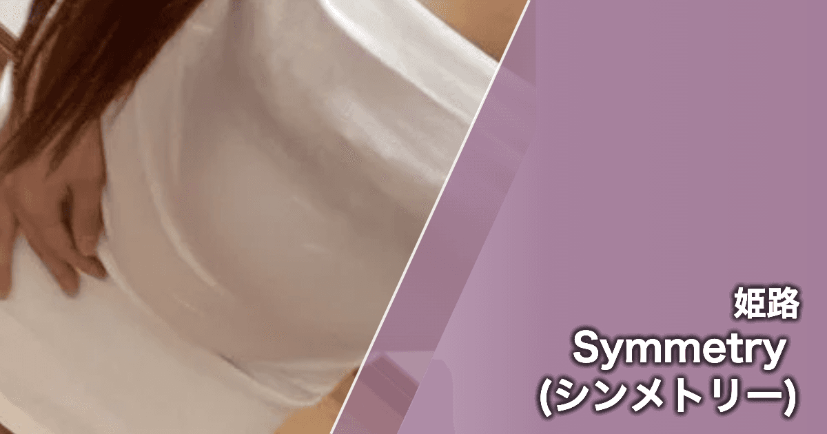 Symmetry (シンメトリー)